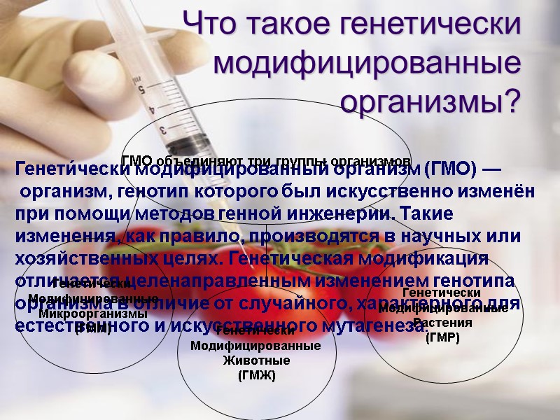 Что такое генетически модифицированные организмы? Генети́чески модифици́рованный органи́зм (ГМО) — организм, генотип которого был